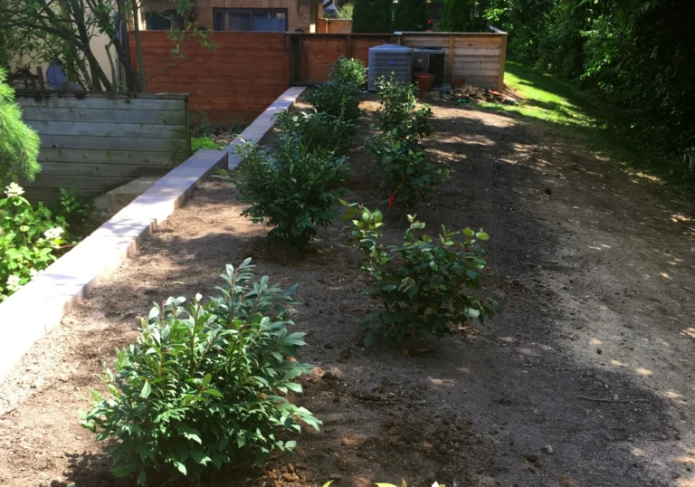 Plant Species Residential Lancaster Landscaping Lawn Care and Snow Removal Services