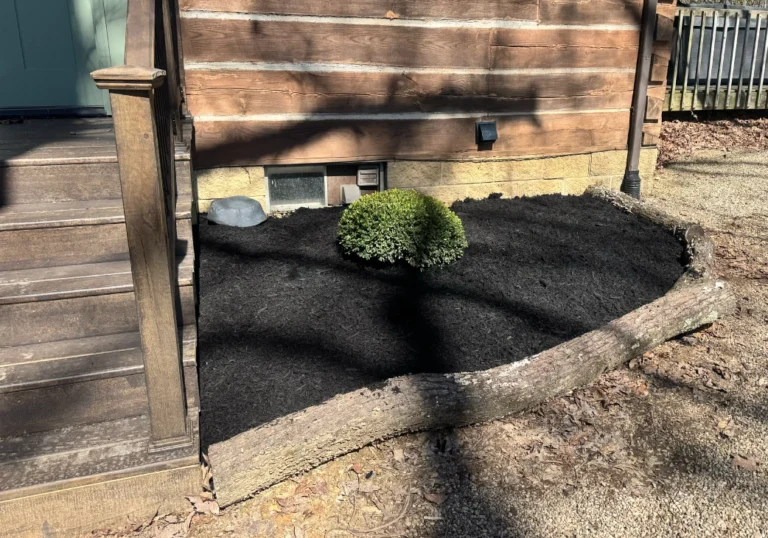 Single Shrub Residential Lancaster Landscaping Lawn Care and Snow Removal Services