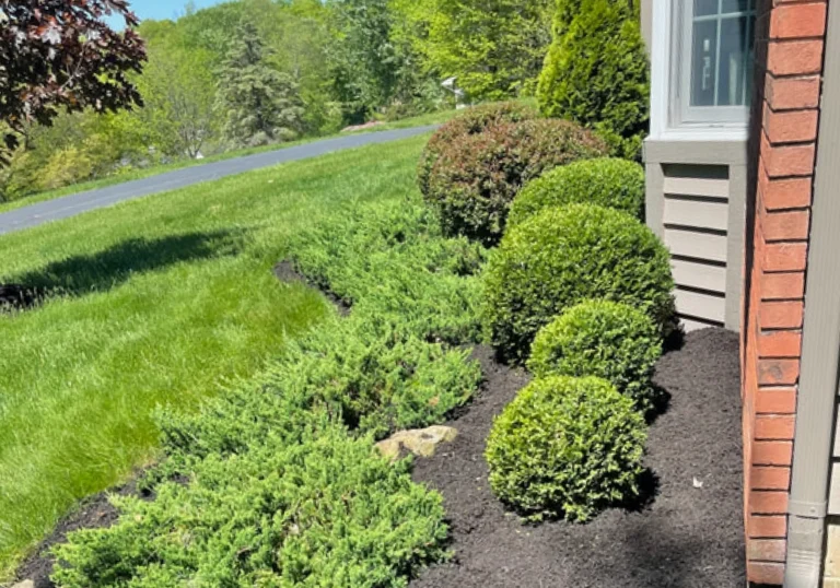 Beautiful and lush Lancaster Landscaping Lawn Care and Snow Removal Services