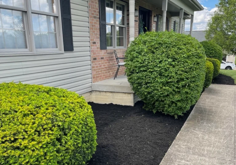 Residential Landscaping Hedges Lancaster Landscaping Lawn Care and Snow Removal Services