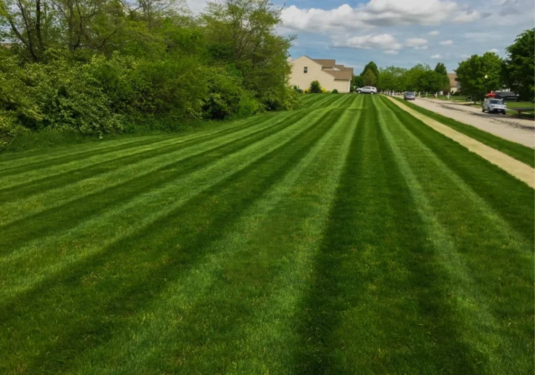 Residential and Commercial Lawn in Lancaster Landscaping Lawn Care and Snow Removal Services