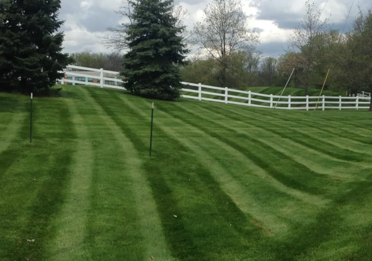 Beautiful Green Lush Grass Lancaster Landscaping Lawn Care and Snow Removal Services