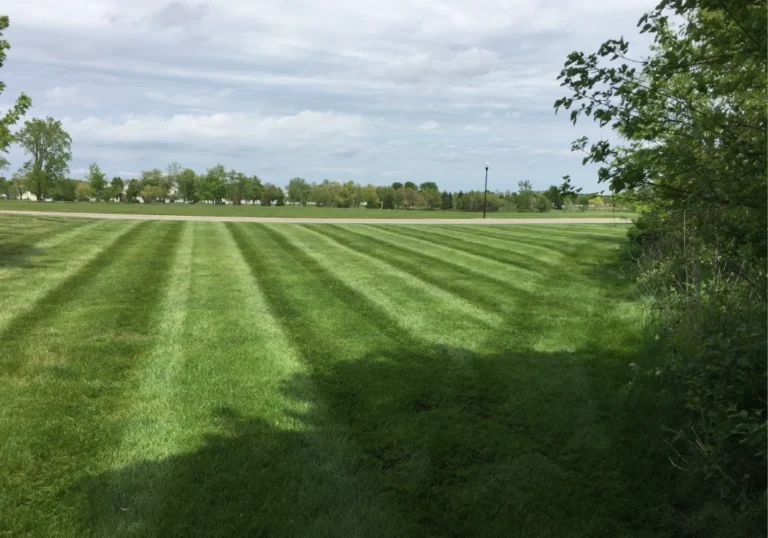 Green Grass in Lancaster Landscaping Lawn Care and Snow Removal Services